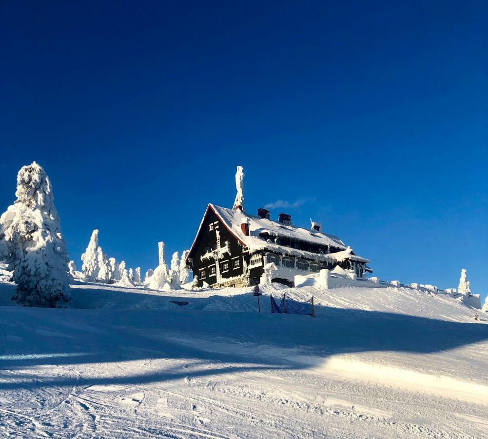 Ski Sun Sea - Rodzinny Apartament Pod Gondola Świeradów-Zdrój Esterno foto